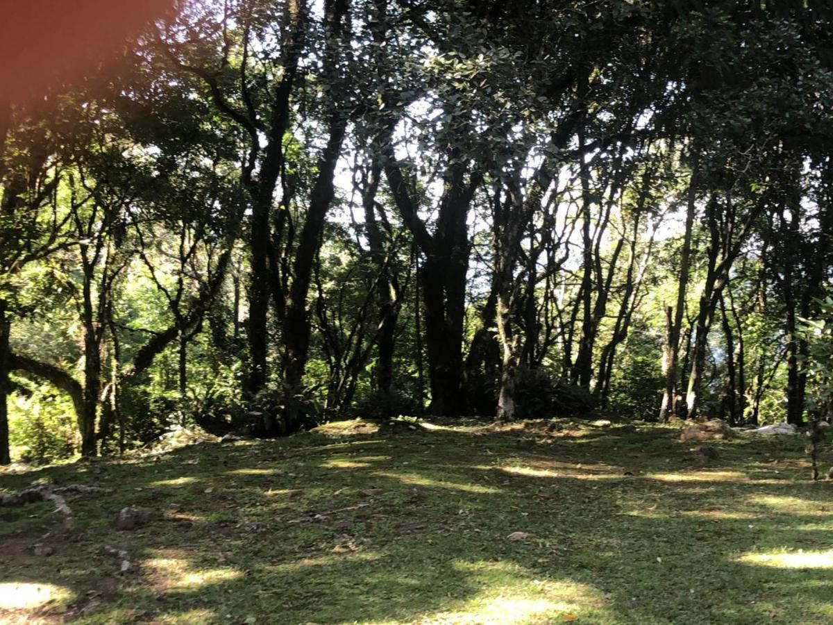 Refugio Da Natureza São Francisco de Paula 外观 照片