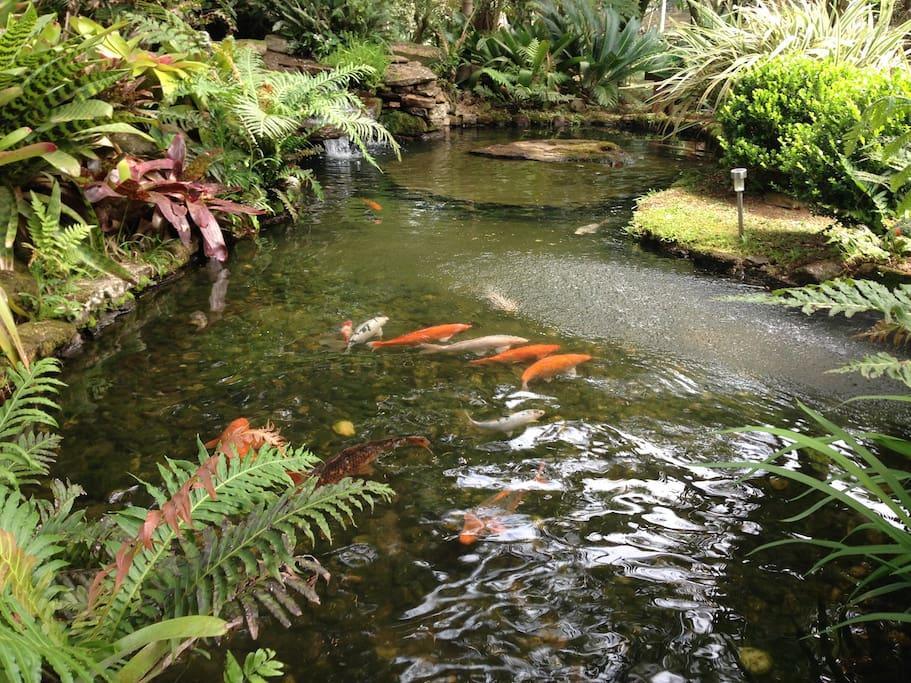 Refugio Da Natureza São Francisco de Paula 外观 照片