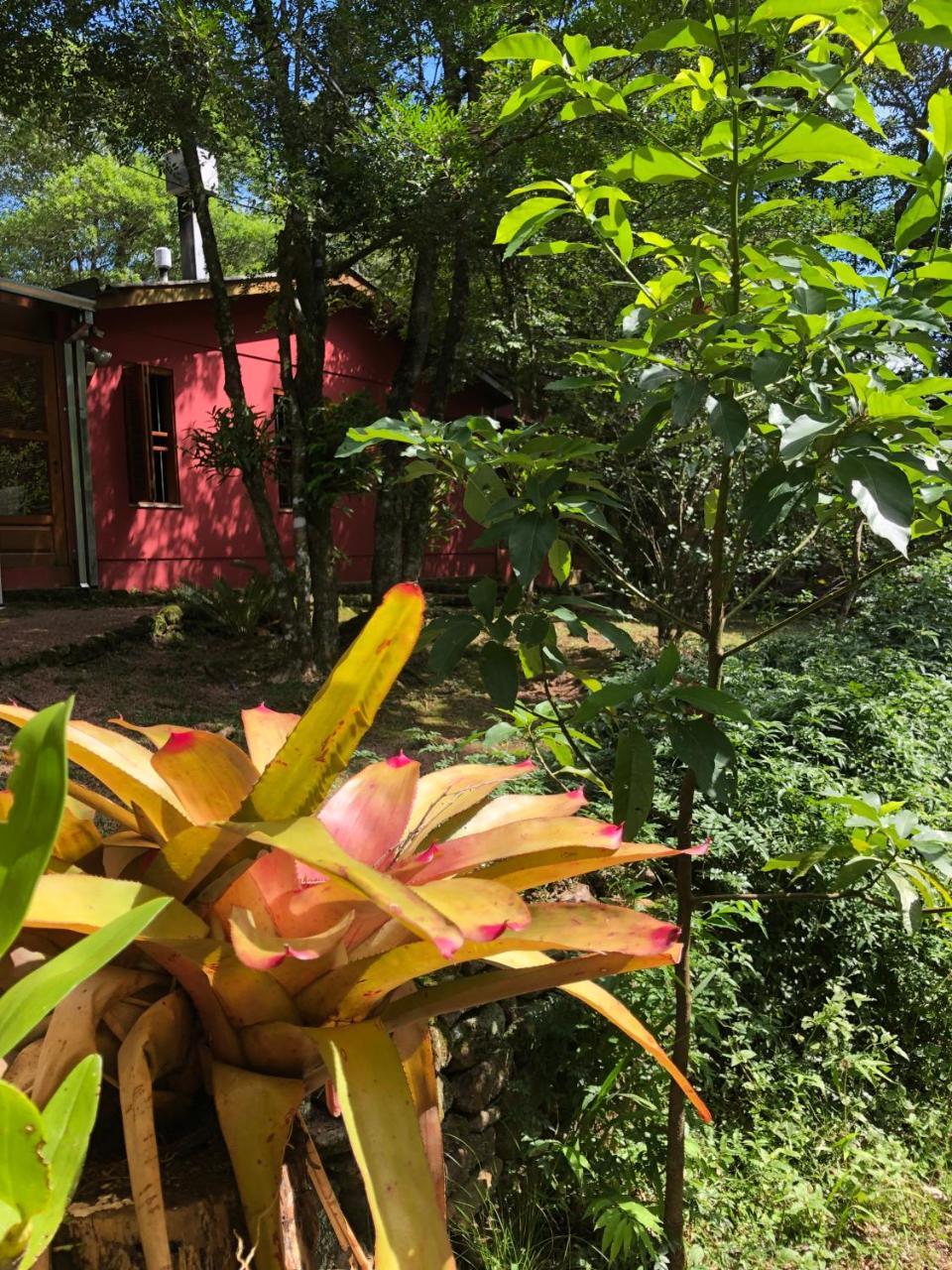 Refugio Da Natureza São Francisco de Paula 外观 照片