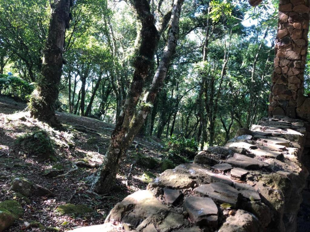 Refugio Da Natureza São Francisco de Paula 外观 照片